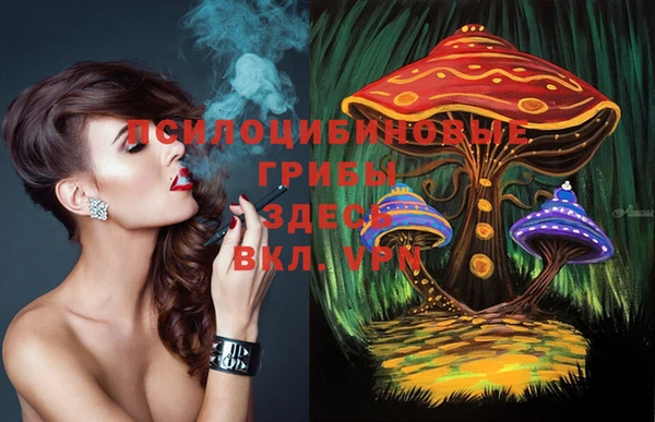 мет Новозыбков