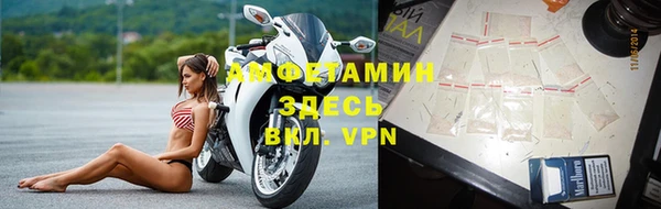 Альфа ПВП Няндома