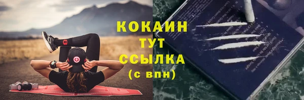 Альфа ПВП Няндома